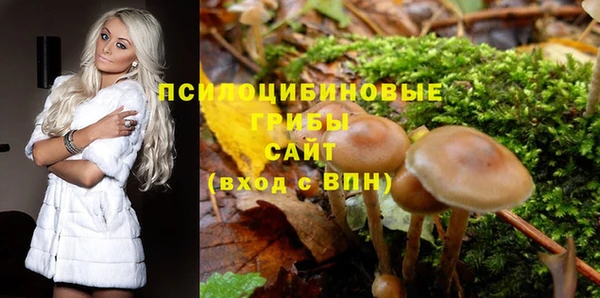 тгк Алексеевка