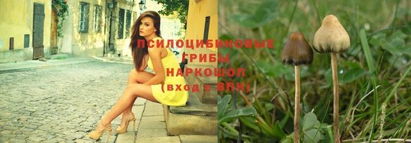 соль ск Алексин