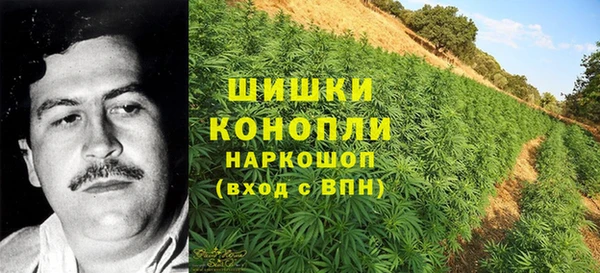 МДПВ Нефтегорск