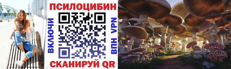 Псилоцибиновые грибы Psilocybe Переславль-Залесский